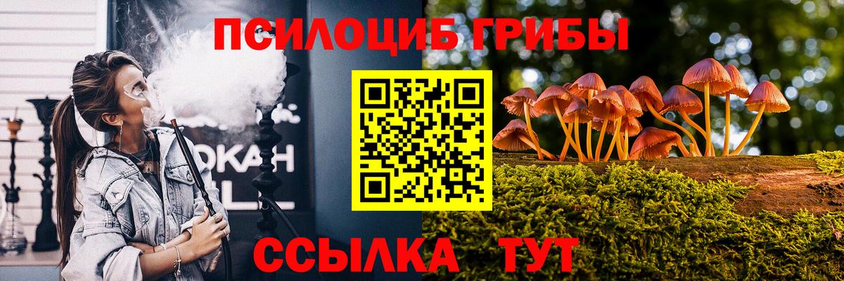 Галлюциногенные грибы мицелий Чайковский