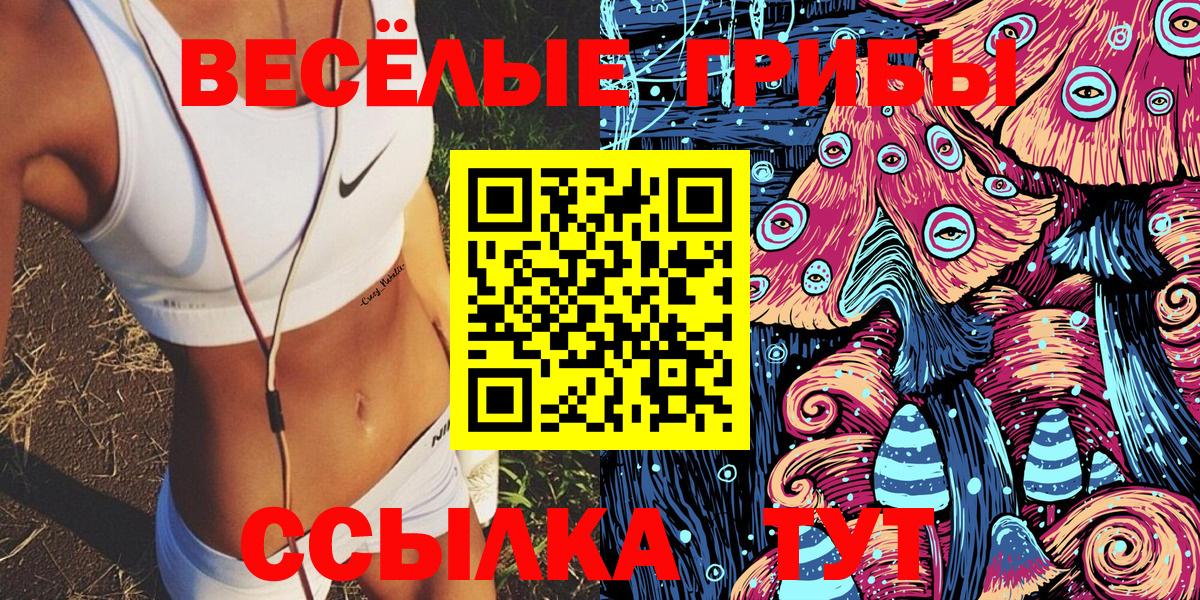 Чайковский  Псилоцибиновые грибы мицелий  Вход с VPN 